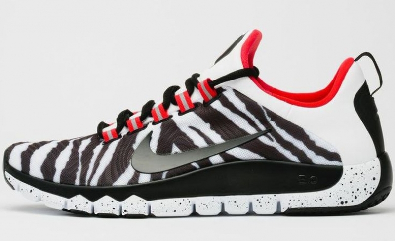Nike Free Trainer 5.0 Kingdom Zebra
